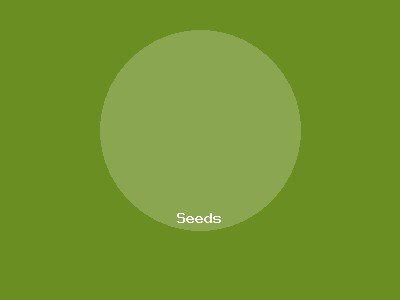 Seeds